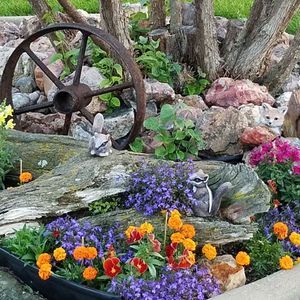 Meet your Posher, Janice